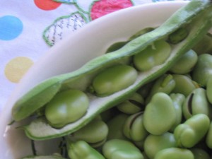 fava beans in the pod